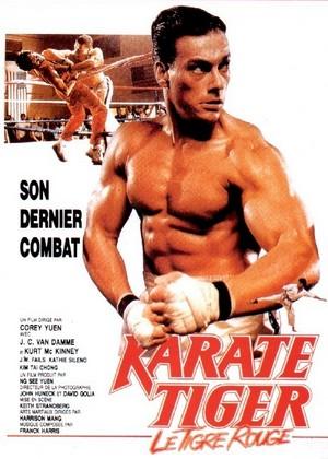 Retour à la fiche du film Karate Tiger